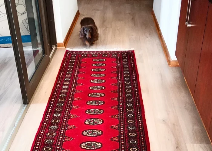 Vinyl Flooring Installers Pretoria