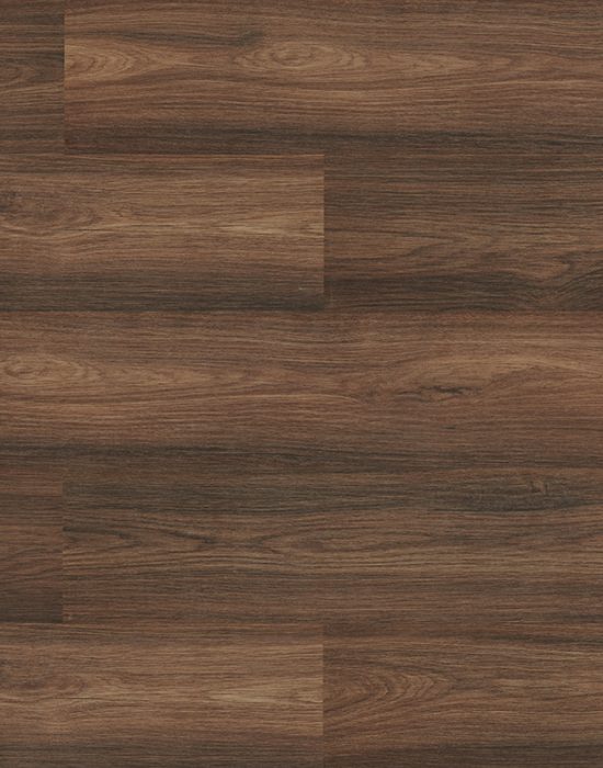 Bella-Neo-Sardunya-visualiser-1
